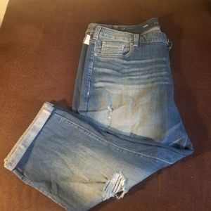 Lane Bryant Blue Jeans